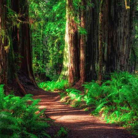 Cedar Mountain -Suite B Grants Pass Ngoại thất bức ảnh