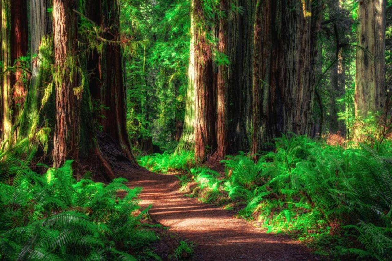 Cedar Mountain -Suite B Grants Pass Ngoại thất bức ảnh